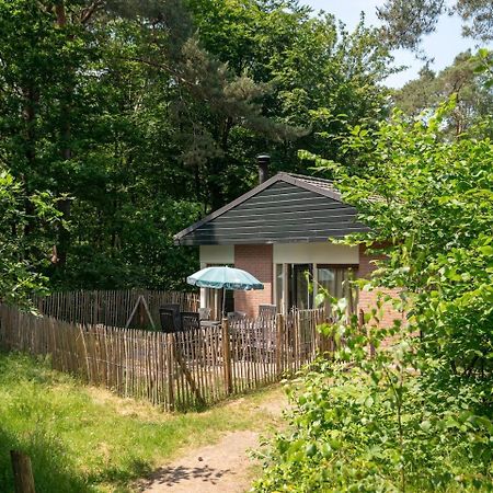 Comfort 6-Person Dog Bungalow In The Holiday Park Landal Heideheuvel Beekbergen Kültér fotó